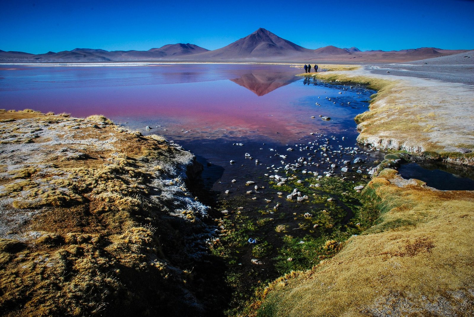 body of water during daytime