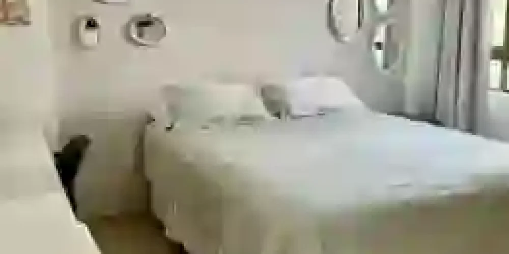 IMG-20240423-WA0093 (1)