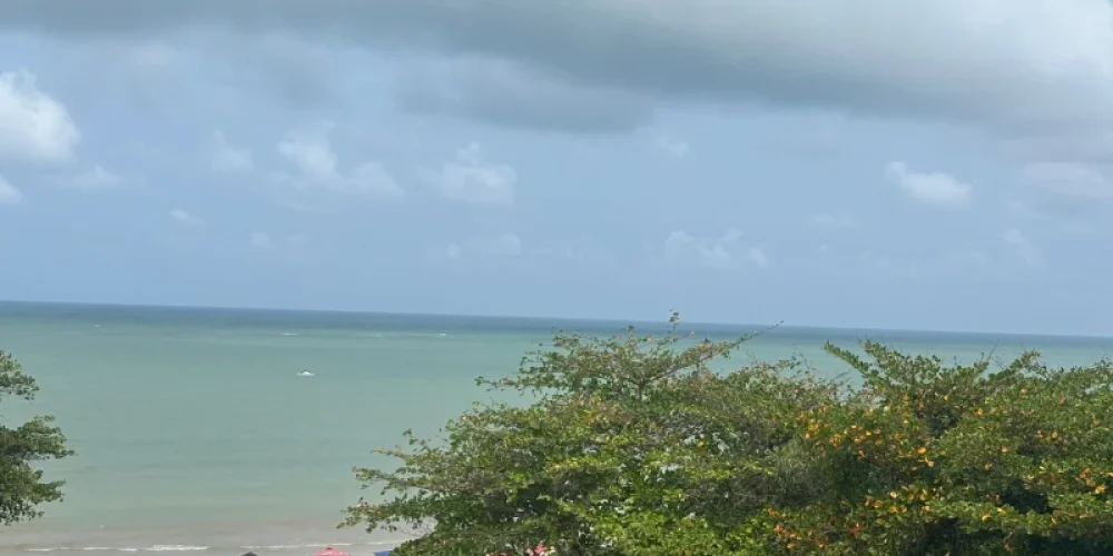 IMG-20250123-WA0405 (1)