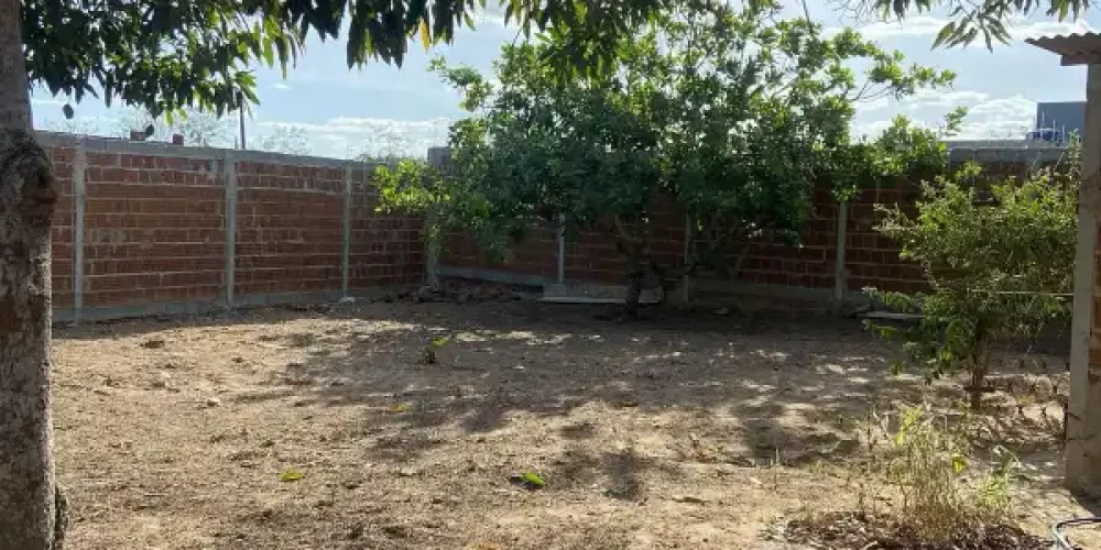 IMG-20250311-WA0098(1)