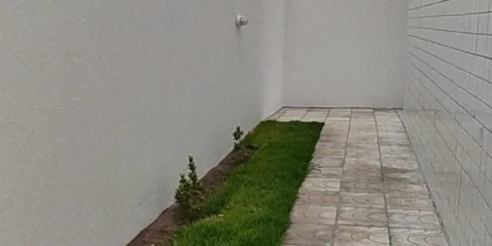 Screenshot_2024-12-03-15-35-17-098_com.miui.videoplayer