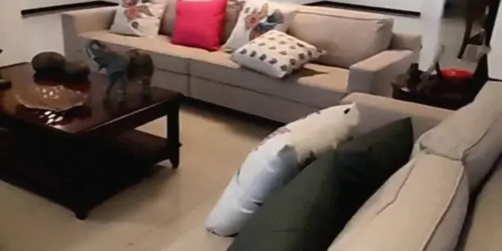 Screenshot_2025-03-30-01-19-25-916_com.miui.videoplayer