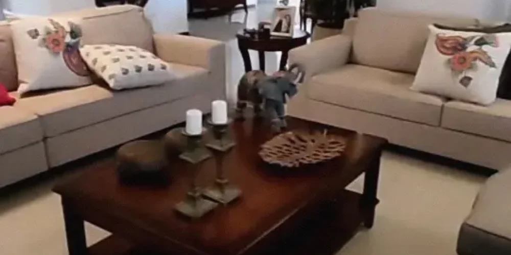 Screenshot_2025-03-30-01-19-52-197_com.miui.videoplayer